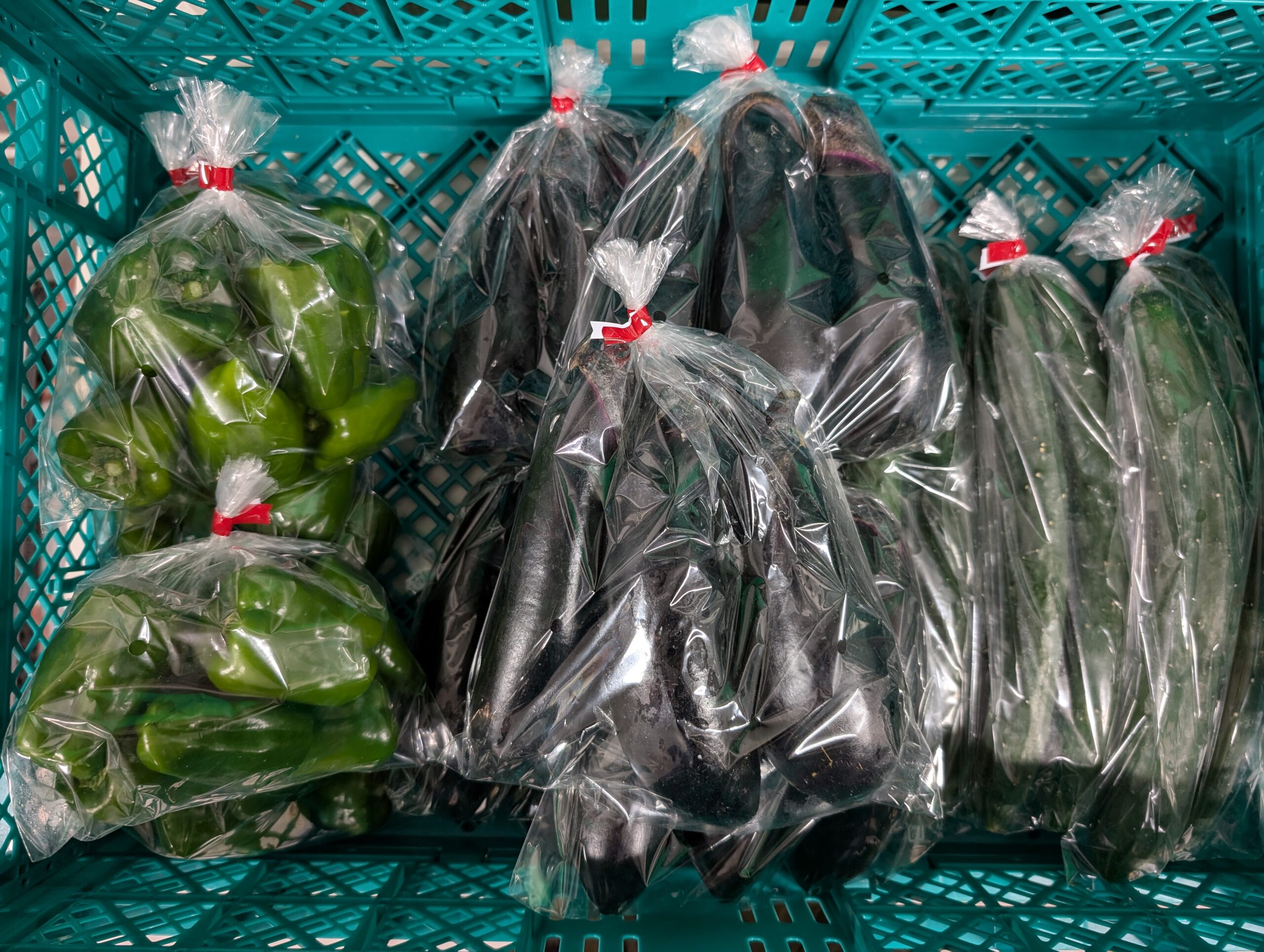 野菜の販売を始めます